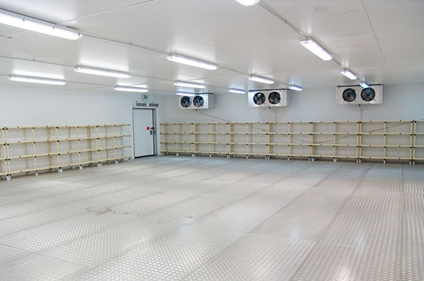 Thi công lắp đặt kho lạnh